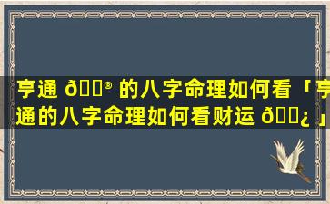 亨通 💮 的八字命理如何看「亨通的八字命理如何看财运 🌿 」